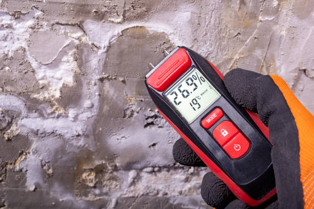 Best Best Mold Removal Companies  in New Canaan, CT