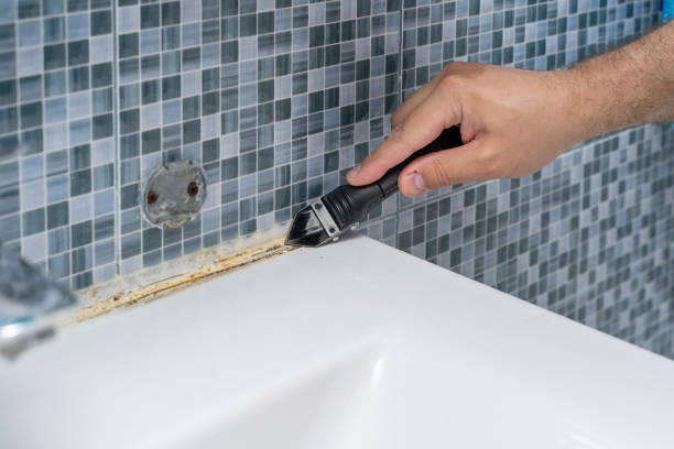 Best Mold Damage Repair  in New Canaan, CT