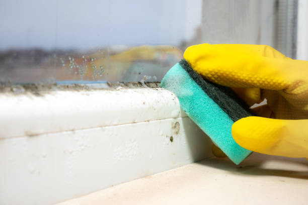 Best Mold Testing  in New Canaan, CT