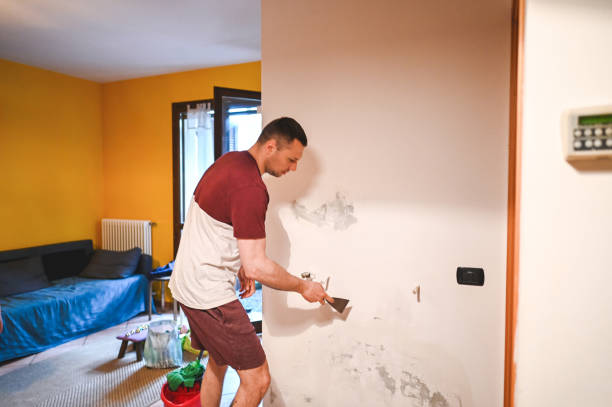 Best Mold Removal Near Me  in New Canaan, CT